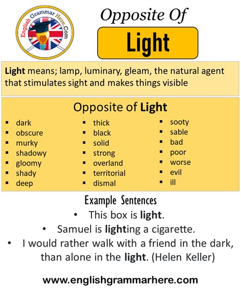 sheds light synonym|139 Synonyms & Antonyms for SHED LIGHT ON